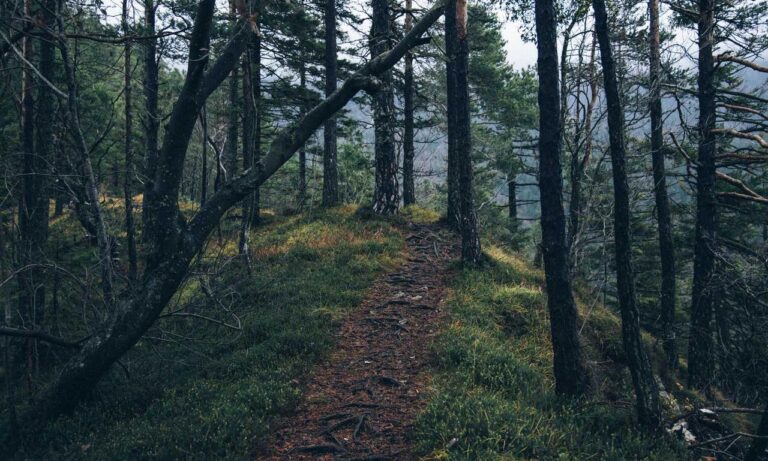 how to download widdeadvi in pc windows 7