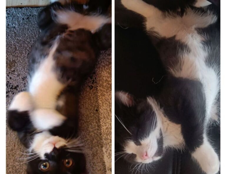 why lerakuty cave water so clear