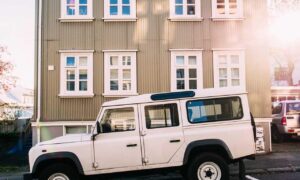 why sumcuyu high in potassium