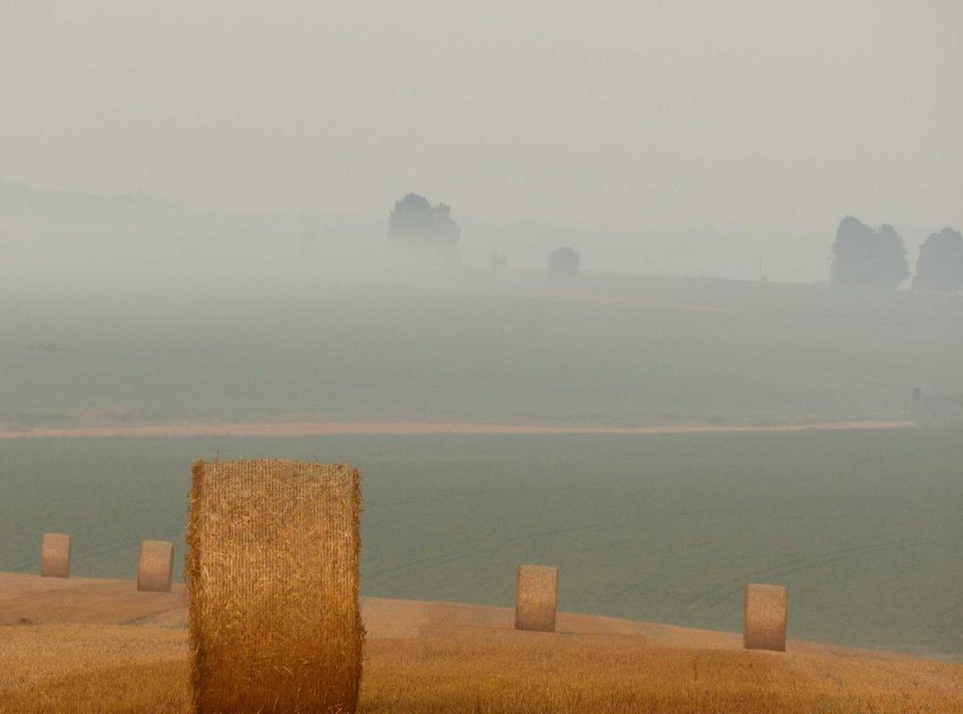 Practical Tips for Seaside Confidence and Comfort