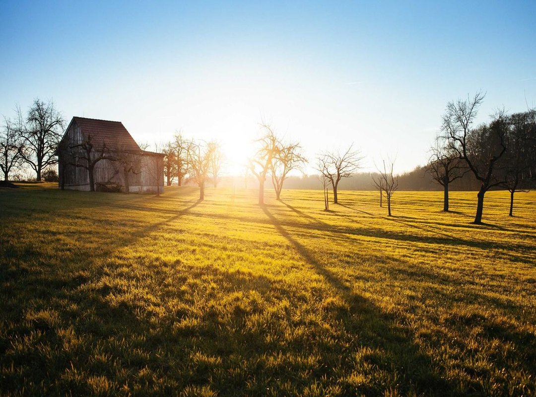 What Fans Want from a Potential Adaptation