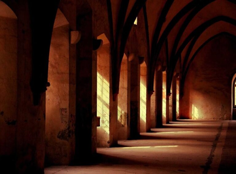 ane wa yan mama live action