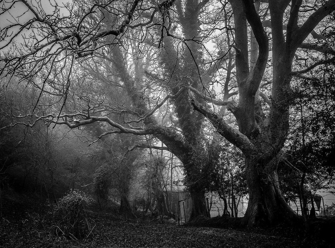 Shifting the Focus: Notable Advocates and Supporters