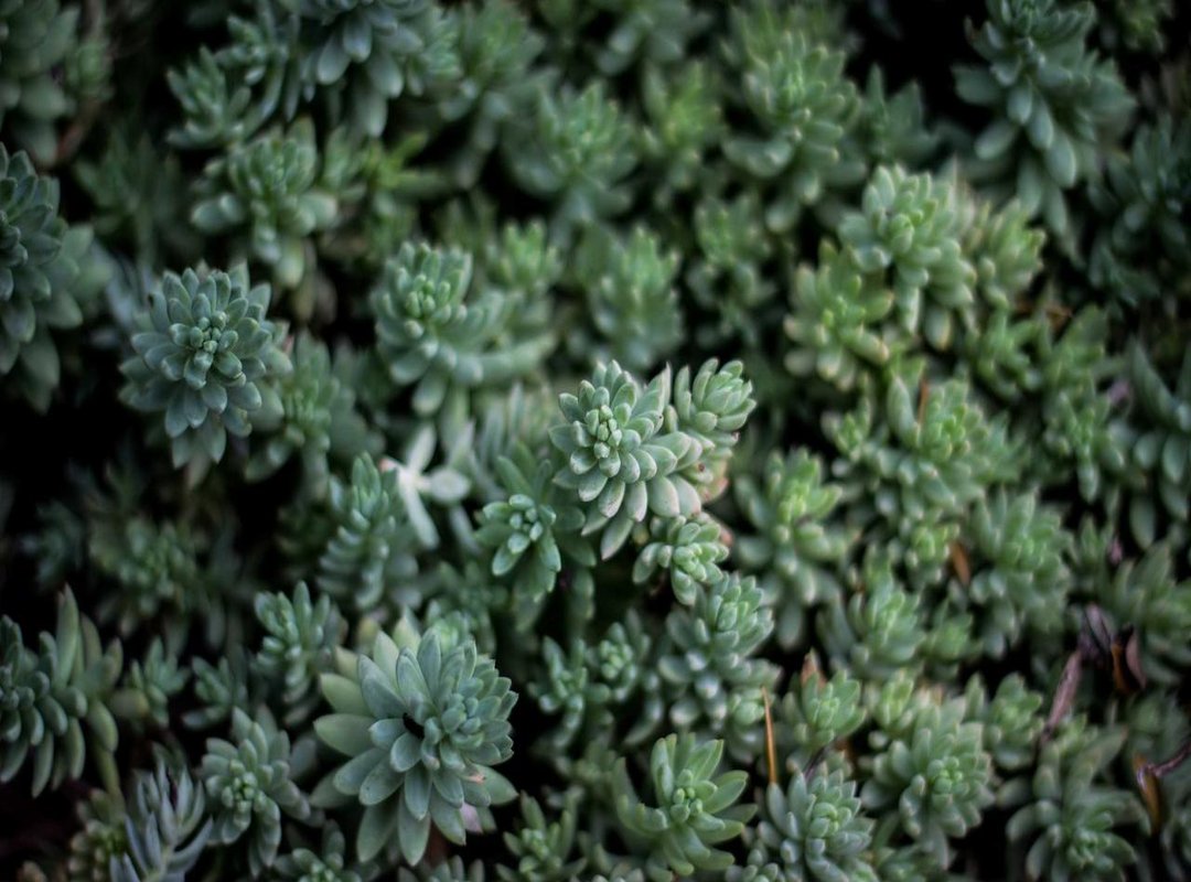 Step-by-Step Guide: Secure Download and Installation