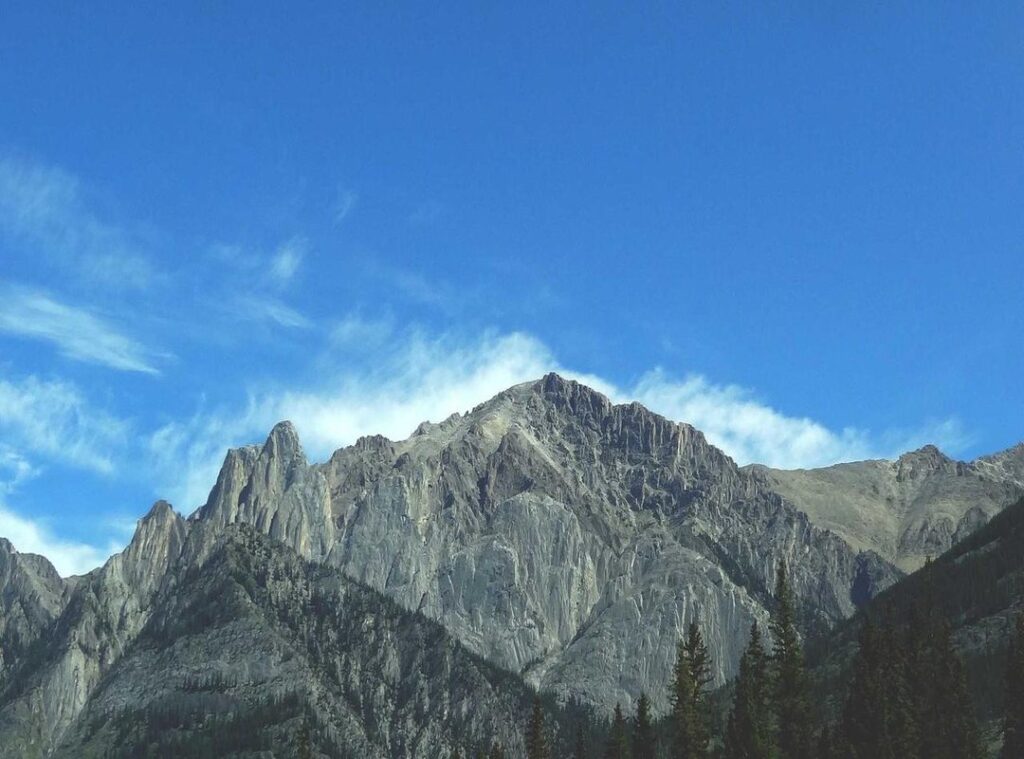 coin master free spin levvvel