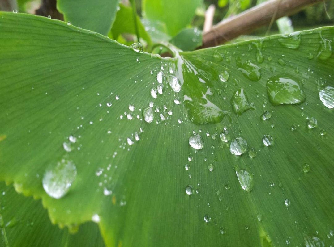 Proof of Life: Central Cee's Recent Activities and Appearances