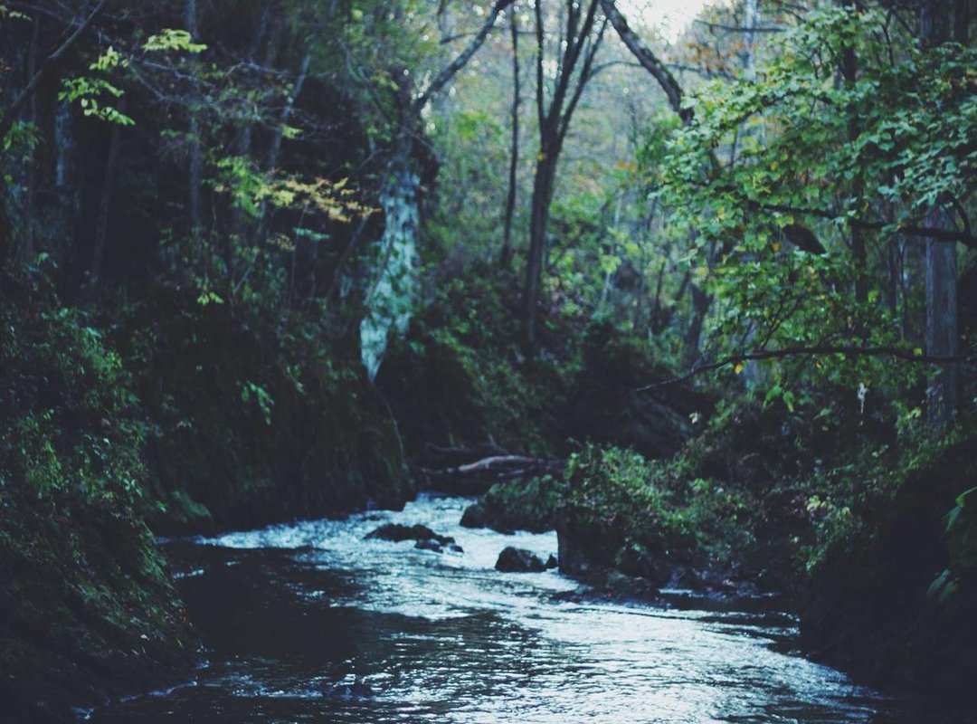 Troubleshooting Common Streaming Issues