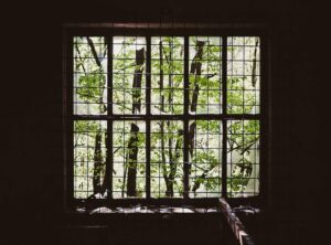 drive mad unblocked 66