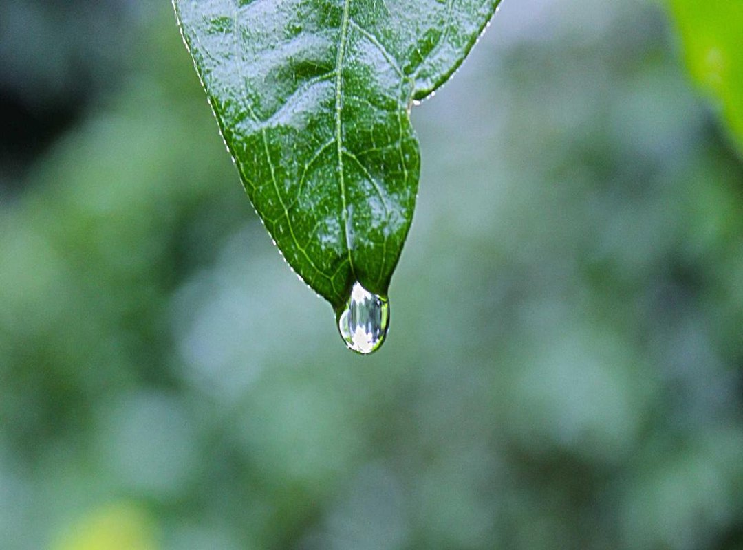 A Darker Definition: The Slang Meaning of 'Pookie'