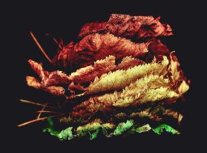 justin neely one day