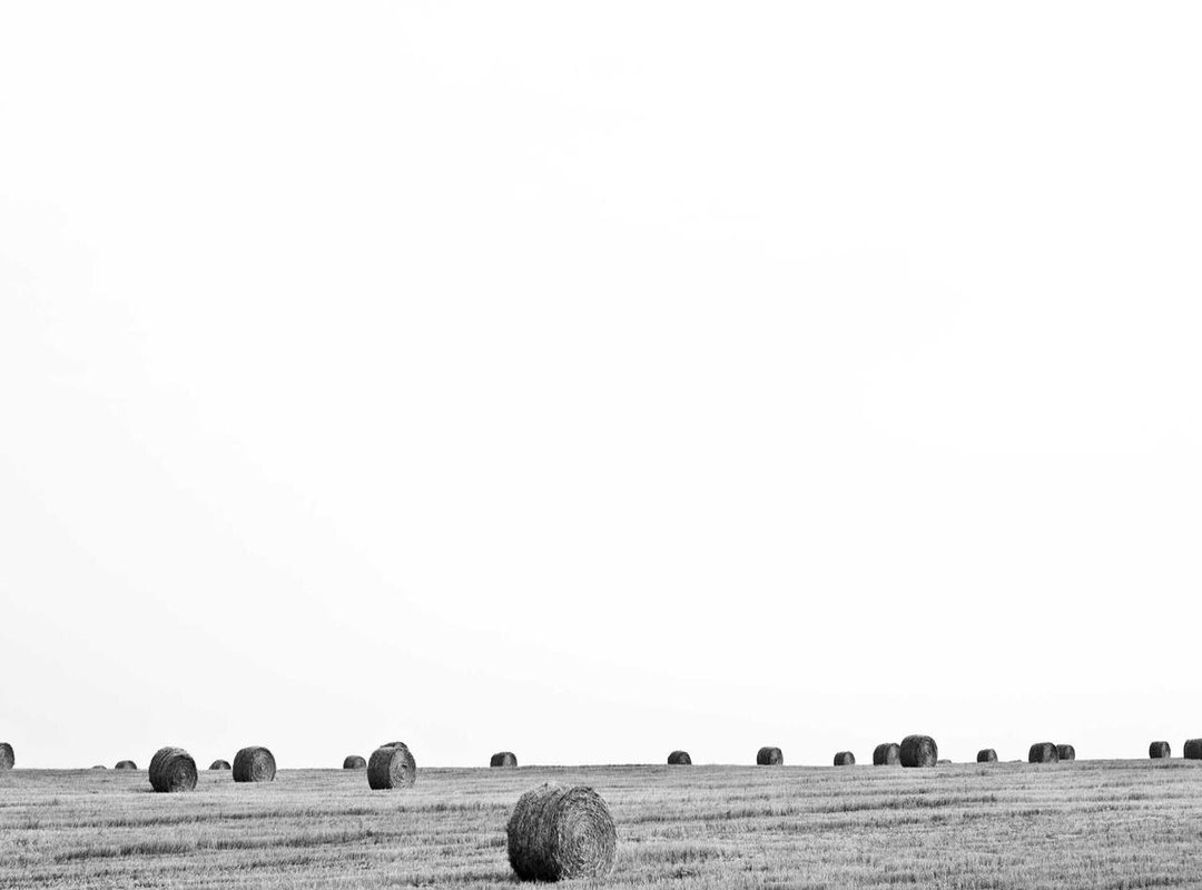 How to Download and Install the APK from Malavida