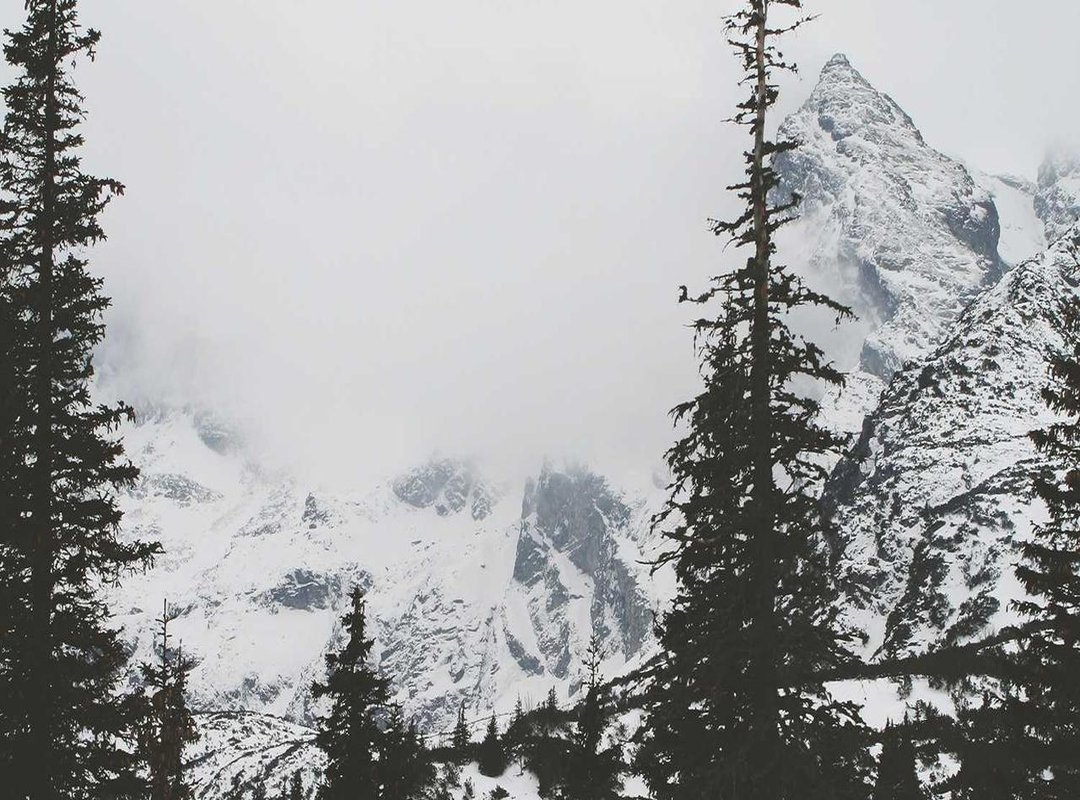 More Than Just Fun: The Developmental Benefits of Colouring