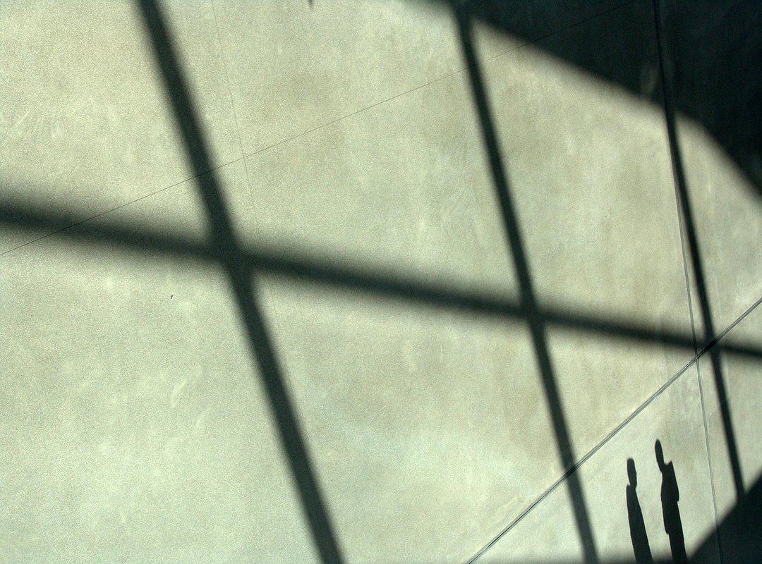 Career Milestones and High-Profile Collaborations