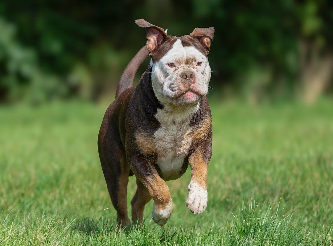 Examples of Successful 'Happy Thursday' Messages in Action