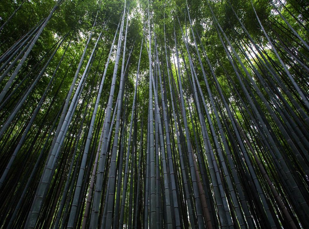 The Psychological Scars: Why the Wound Never Heals for Beth