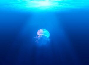 princess cute baby pic for whatsapp dp