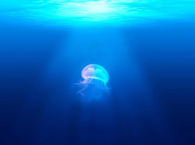 princess cute baby pic for whatsapp dp