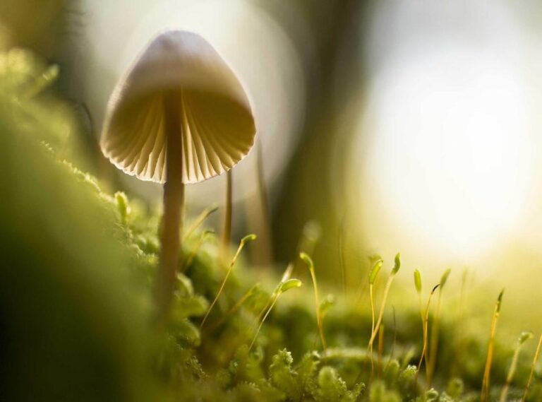 rm 1000 berapa rupiah