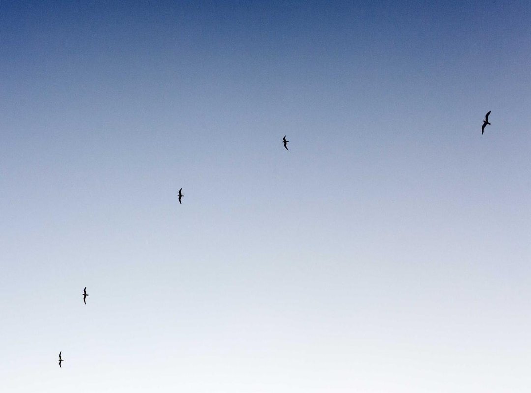 Your First Eurax 100 Trade in 3 Simple Steps