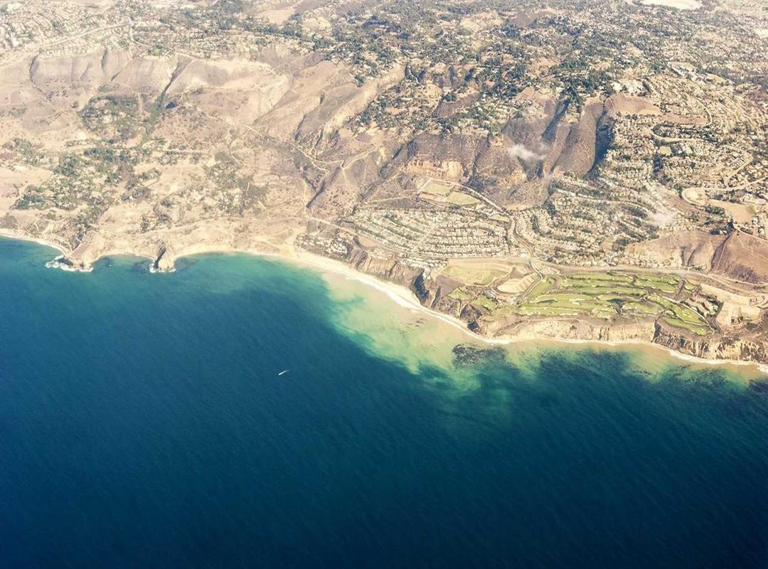 Decoding 'Inssikoulu': A Look Inside the Viral Driving School Series