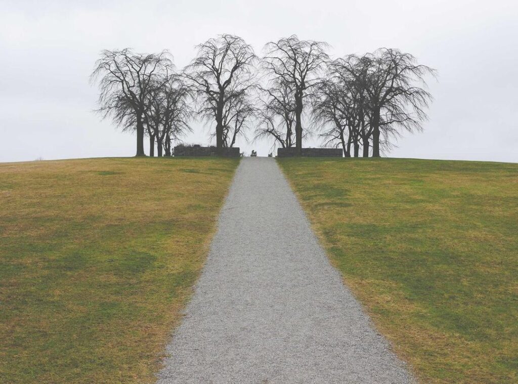 zhurek adam versuri romana