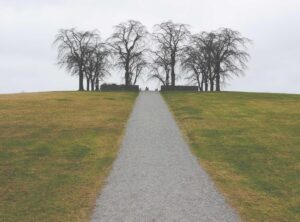 zhurek adam versuri romana